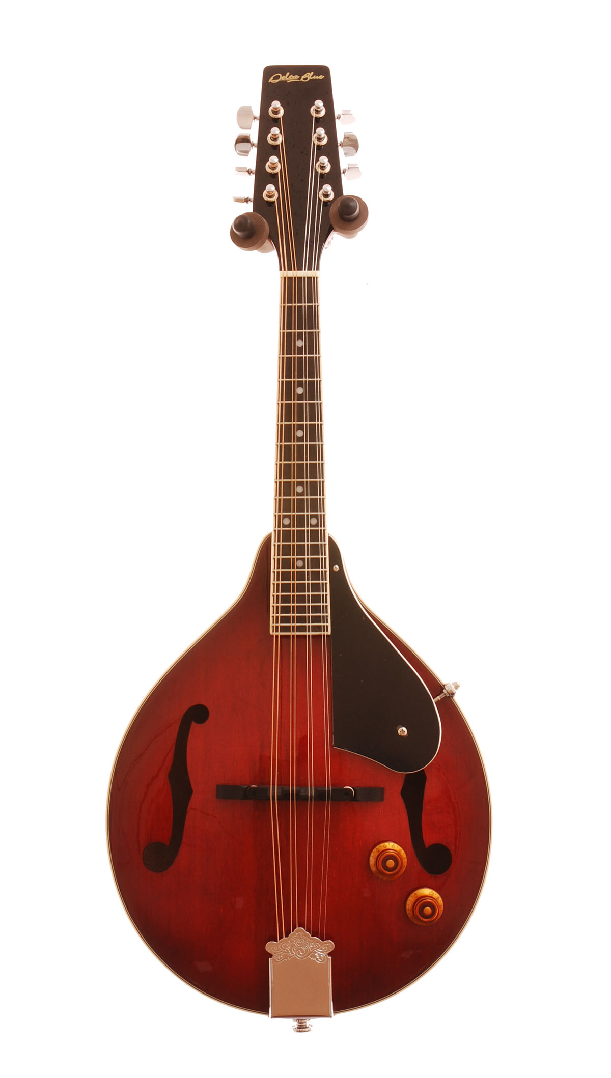 Delta Blue AM10E Electro Mandolin Stringed Folk Instruments Scayles Music